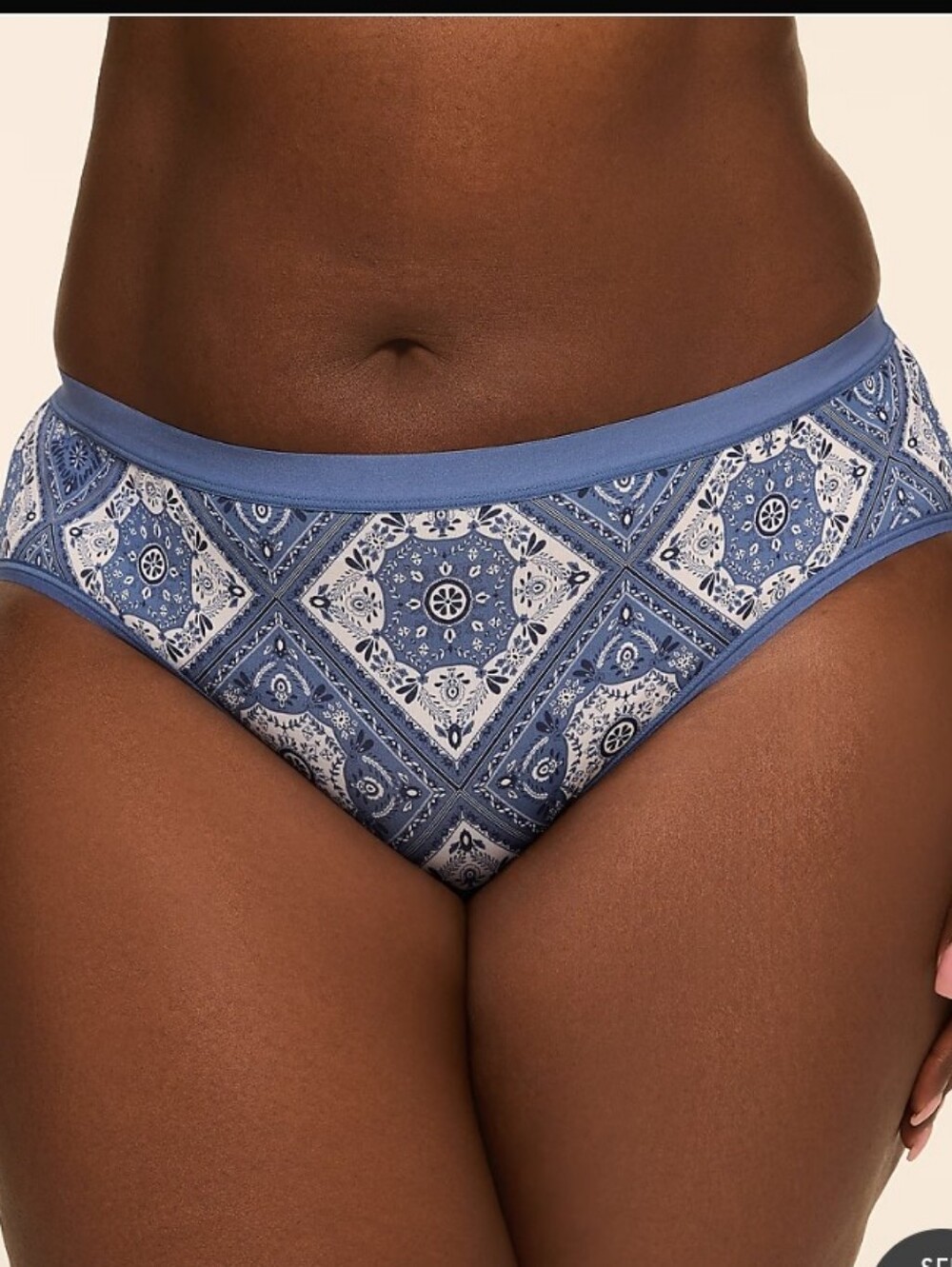 Cacique 18/20 Hipster Panty